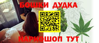 сатива Кингисепп