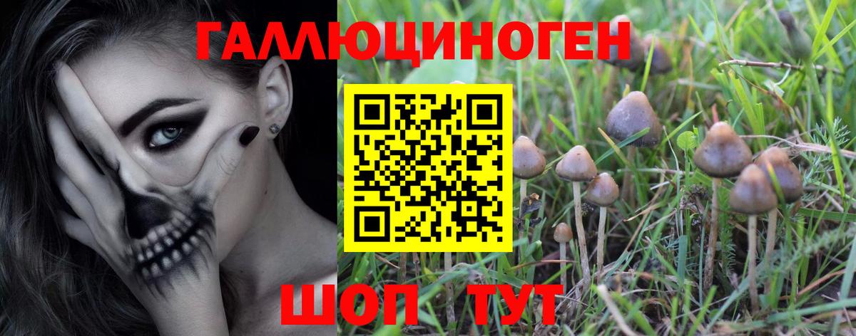 Шатура  что такое наркотик  Вход с VPN  Галлюциногенные грибы Magic Shrooms 