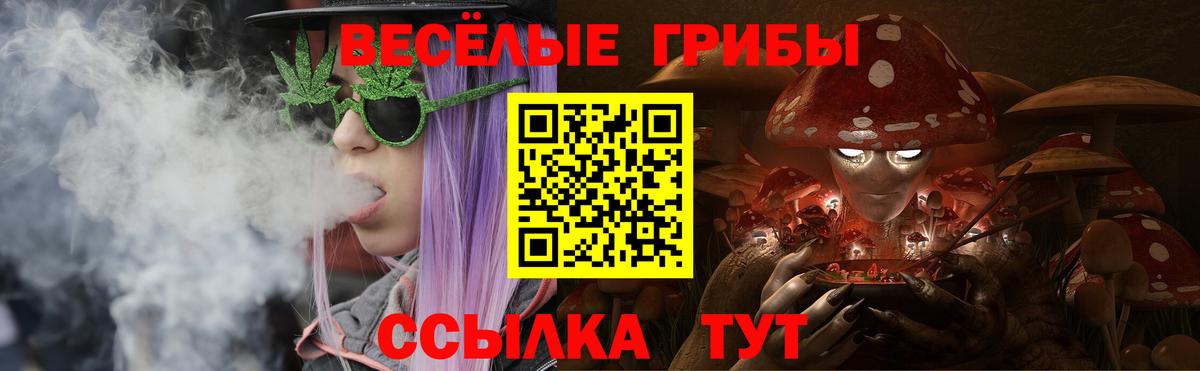 Псилоцибиновые грибы MAGIC MUSHROOMS Шатура